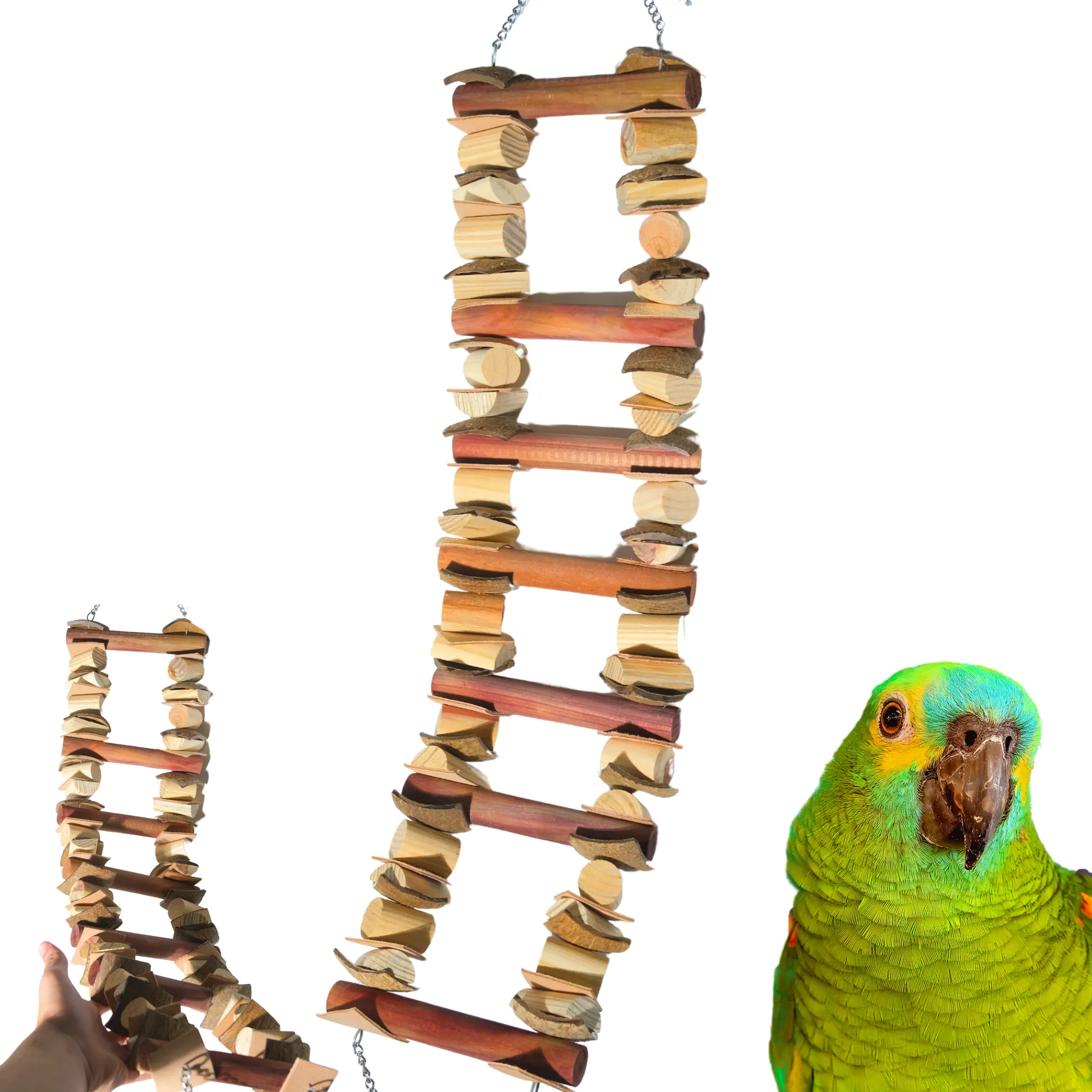 2603 Large Coco Chew Ladder
