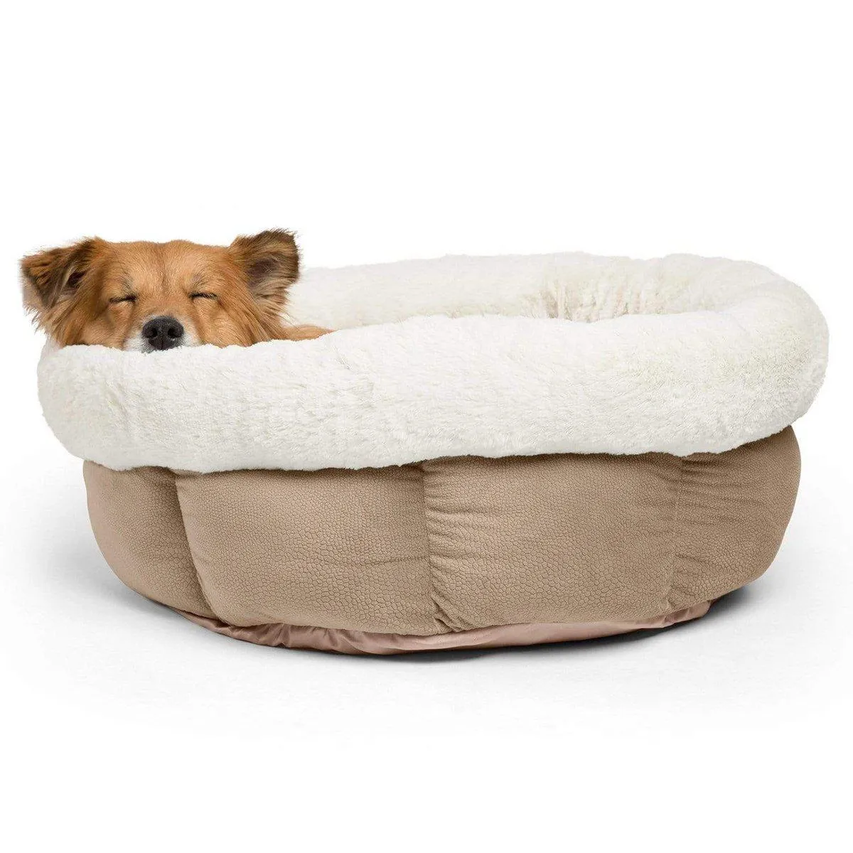Cozy Ilan Cuddle Cup - Jumbo
