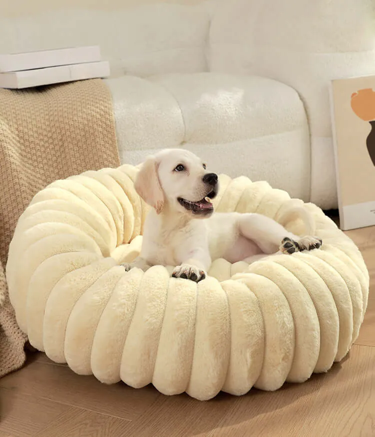 Cozy Pet Bed – Soft, Non-Slip & Warm Bed for Dogs & Cats