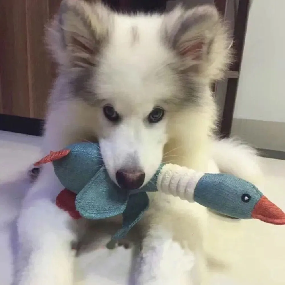 Durable Mallard Duck Dog Toy