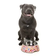 FuzzYard Dog Bowl - Jelly Bears