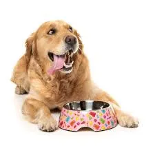 FuzzYard Dog Bowl - Jelly Bears