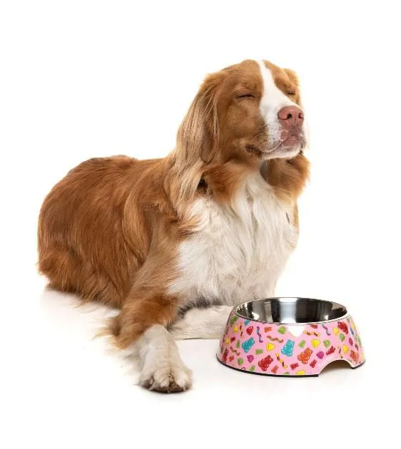 FuzzYard Jelly Bears Dog Feeding Bowl