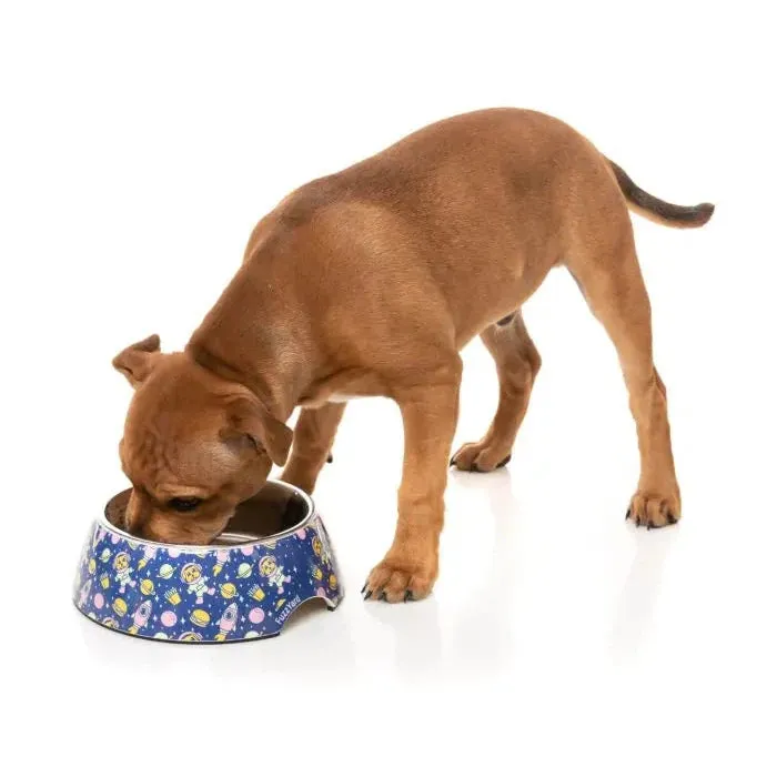 FuzzYard Pluto Pup Dog Bowl Small***