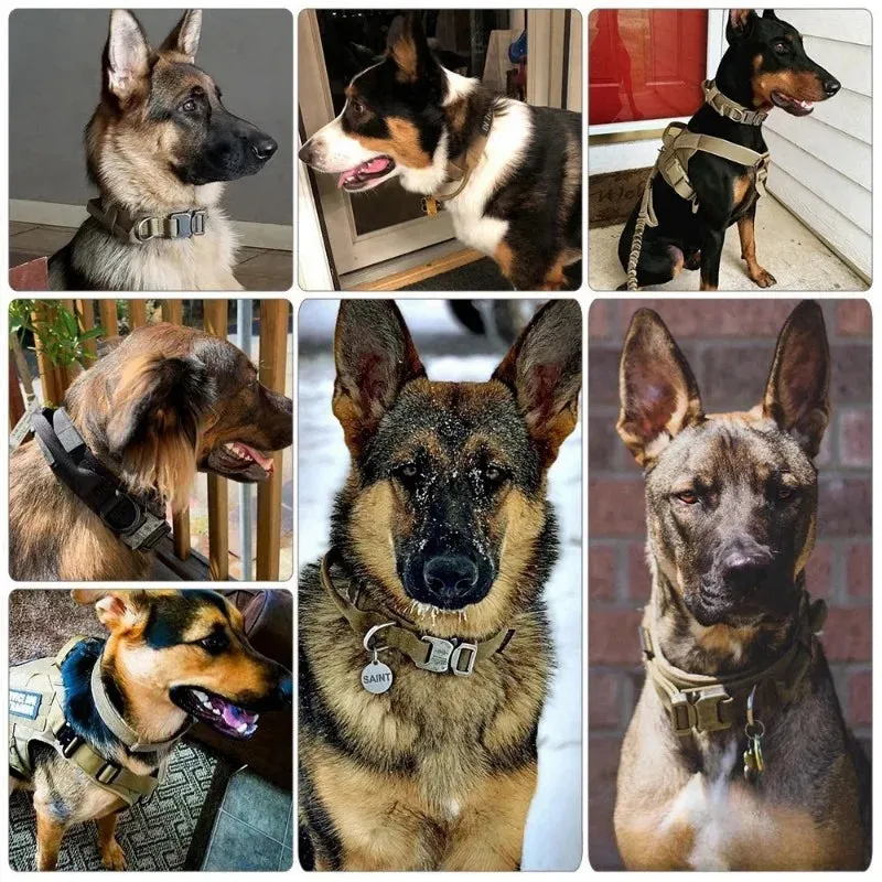 Nylon Tactical Dog Collar with Handle Adjustable and Durable Suitable for Medium Large Dogs Dogs Accessoires  Pet Items