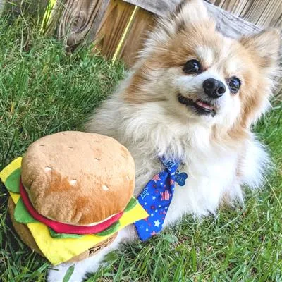 Power Plush Dog Toy - Hamburger
