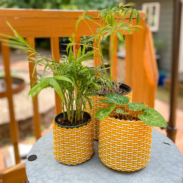 round 'catch all' / planters ~ interweave