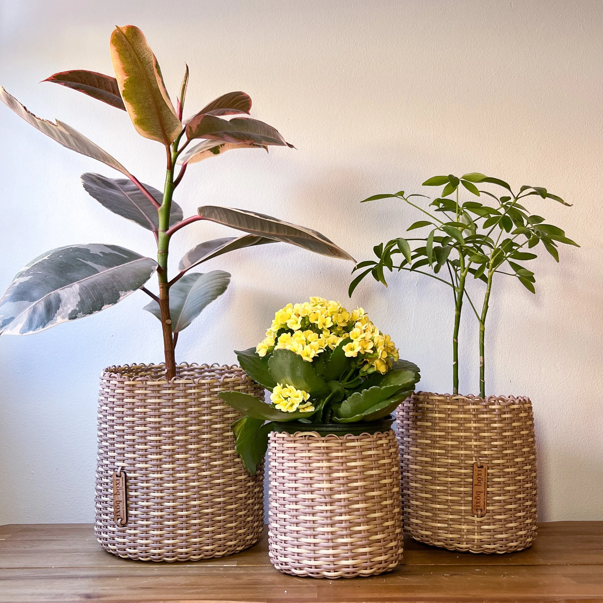 round 'catch all' / planters ~ interweave