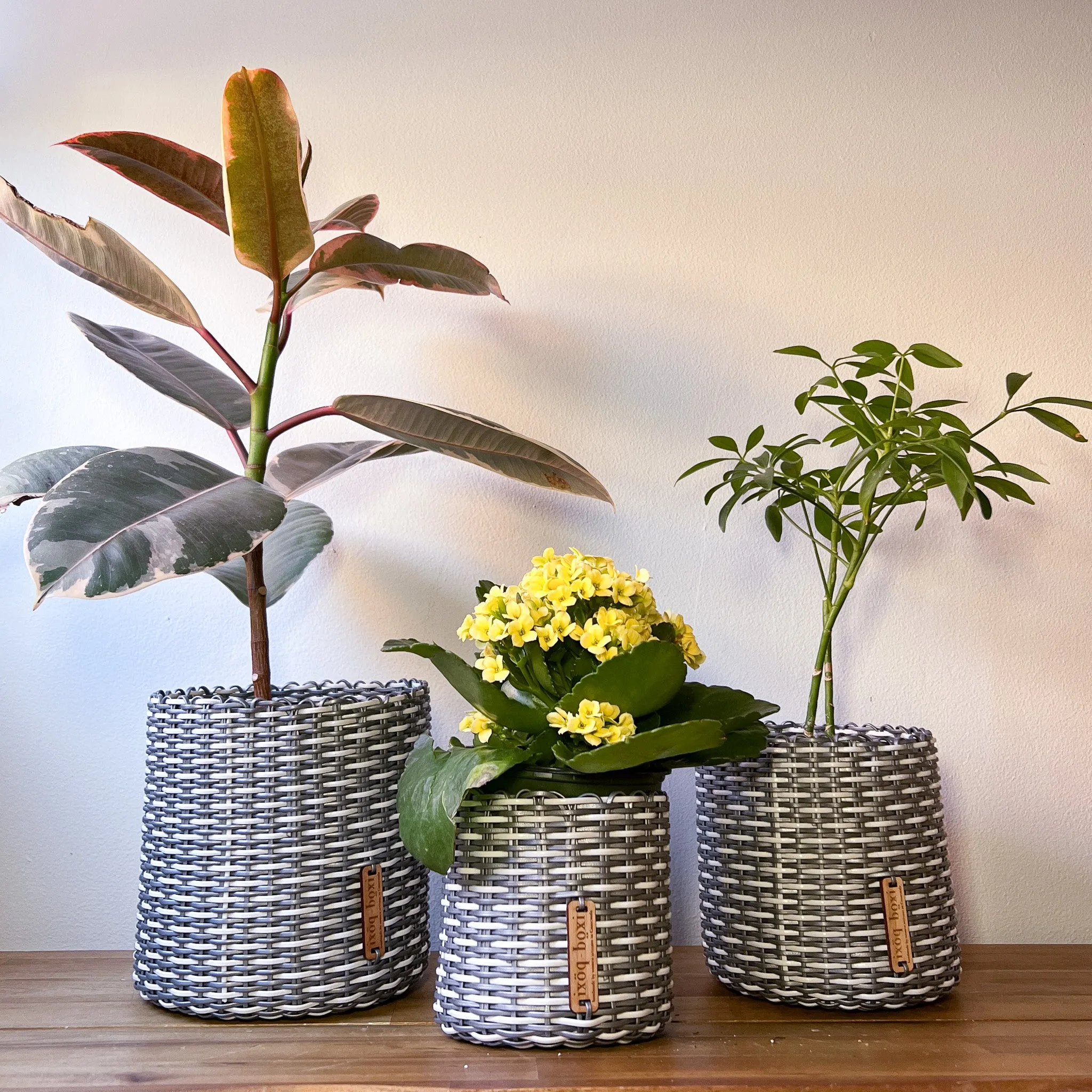 round 'catch all' / planters ~ interweave