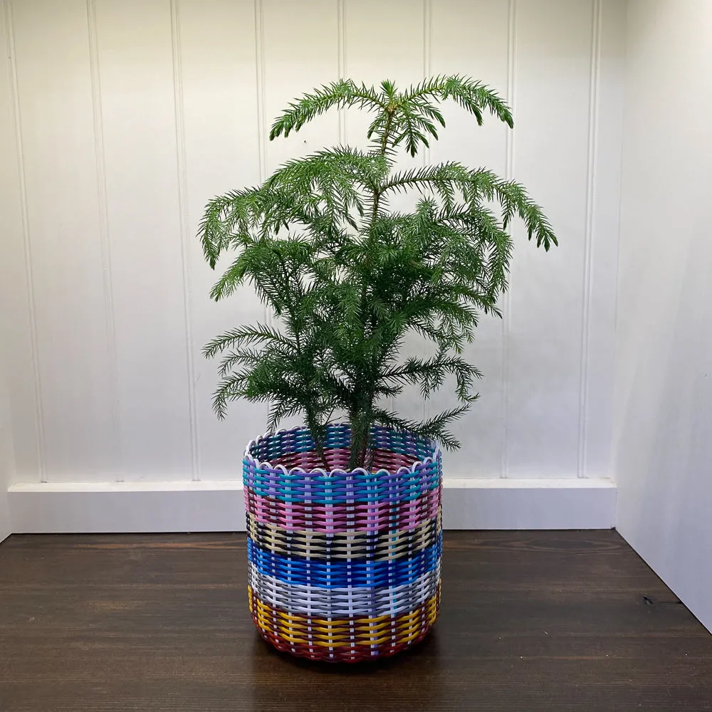 round 'catch all' / planters ~ multicolor stripes