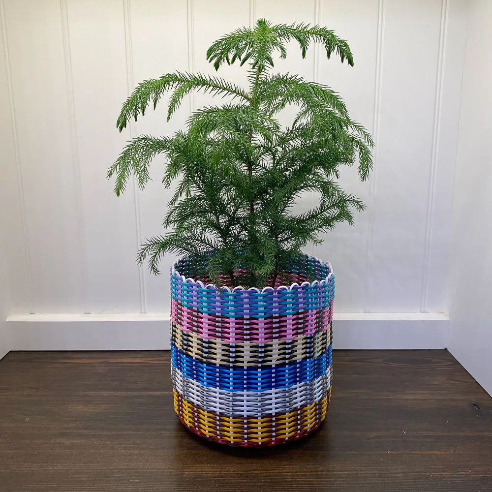 round 'catch all' / planters ~ multicolor stripes