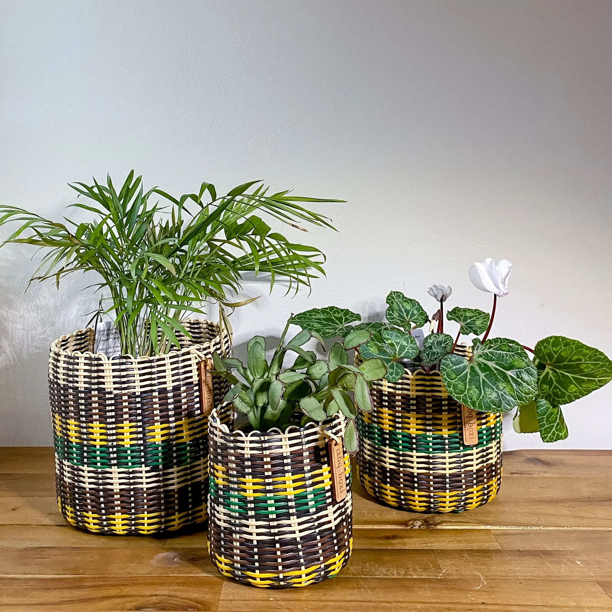 round 'catch all' / planters ~ multicolor stripes