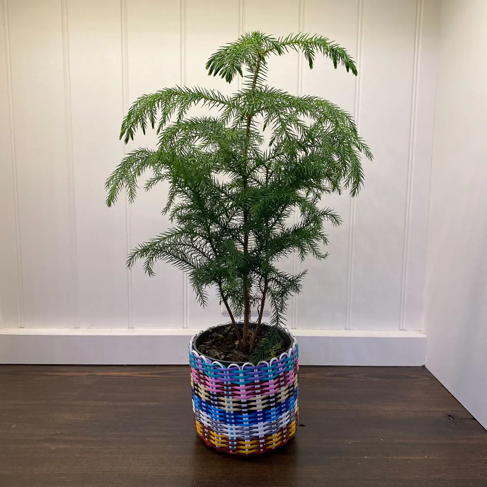 round 'catch all' / planters ~ multicolor stripes
